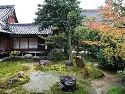 独家：哈兰德至今英超出牌最多的简单介绍|开元捕鱼官方入口